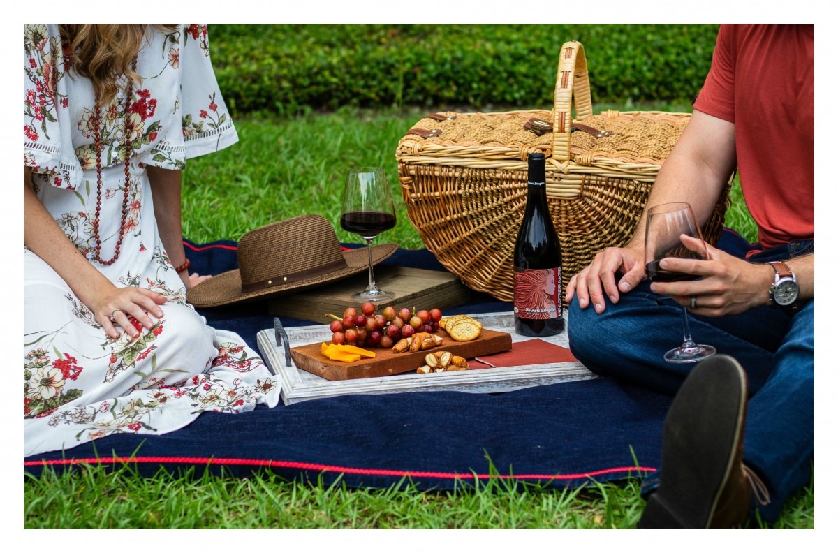 Games and entertainment: What To Bring Picnic