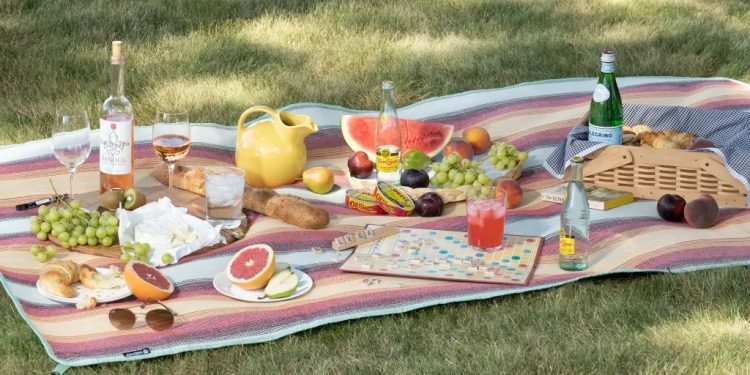 A picnic tablecloth, a picnic blanket, and perhaps chairs