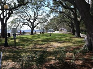 Memorial Park-Places for a picnic in Jacksonville. BEST PLACES FOR A PICNIC IN JACKSONVILLE 2023