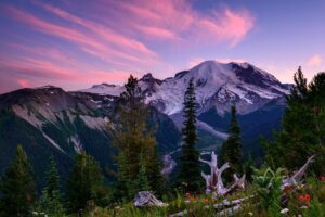 National Park of Mount Rainier. BEST PICNIC SPOTS IN SEATTLE 2023