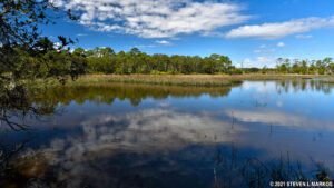 Timucuan Ecological and Historic Preserve. BEST PLACES FOR A PICNIC IN JACKSONVILLE IN2023