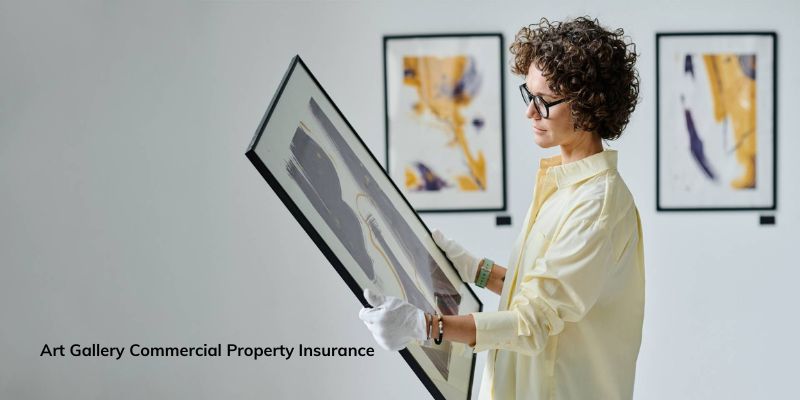 Art Gallery Commercial Property Insurance