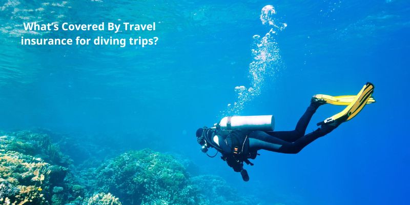 What’s Covered By Travel insurance for diving trips?